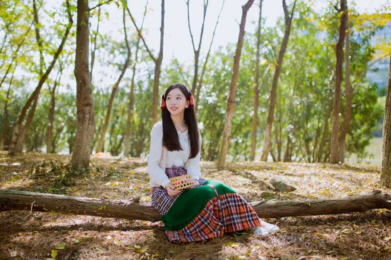 碎花裙美女森林捡松果